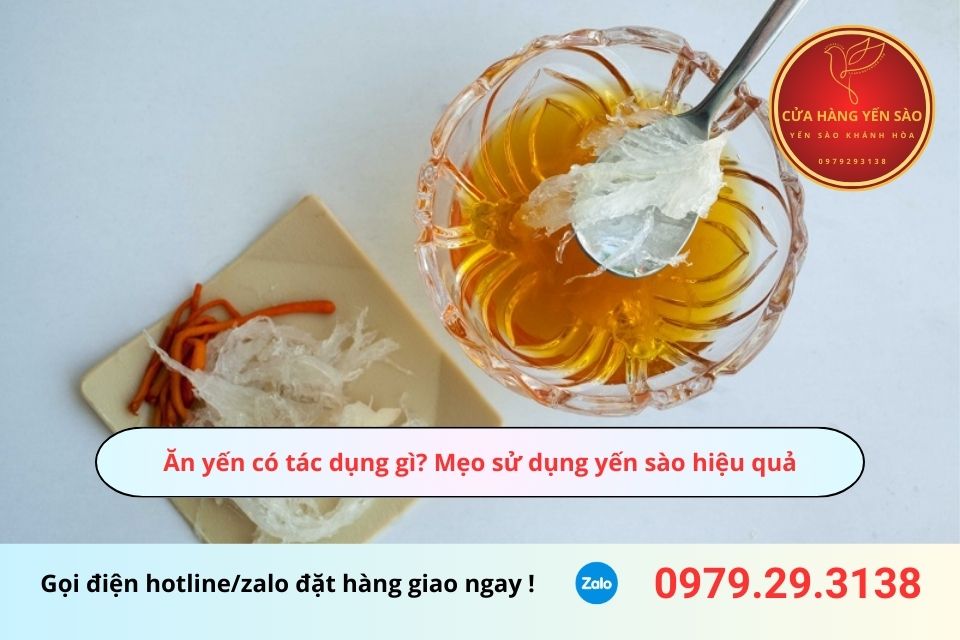 Ăn yến có tác dụng gì? Mẹo sử dụng yến sào hiệu quả