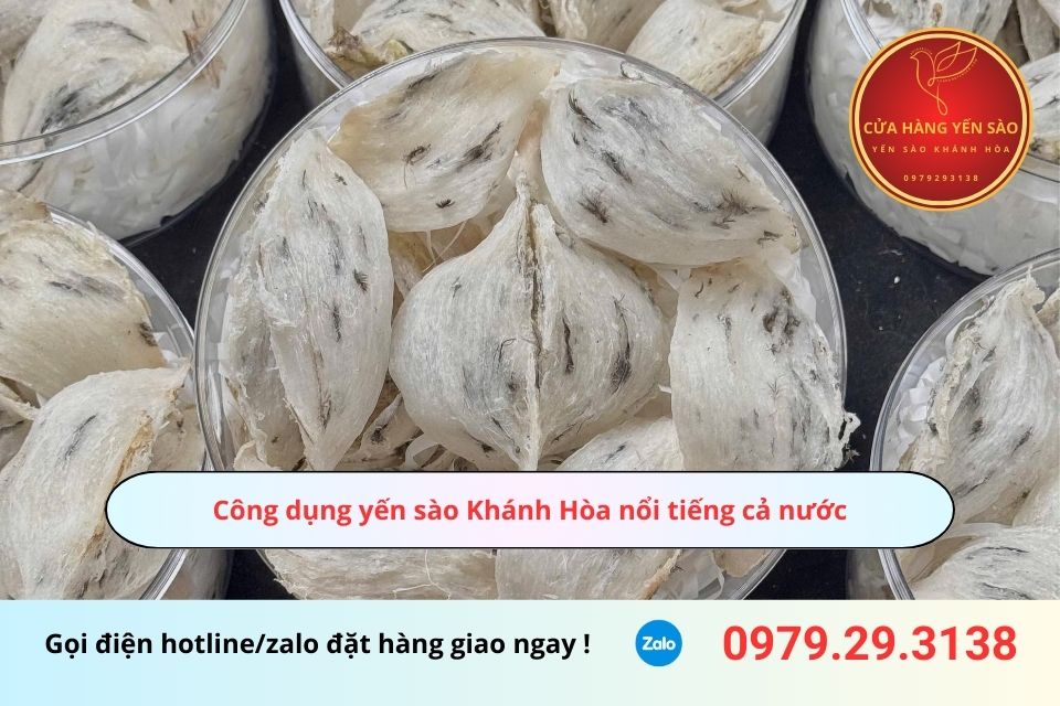 Công dụng yến sào Khánh Hòa nổi tiếng cả nước