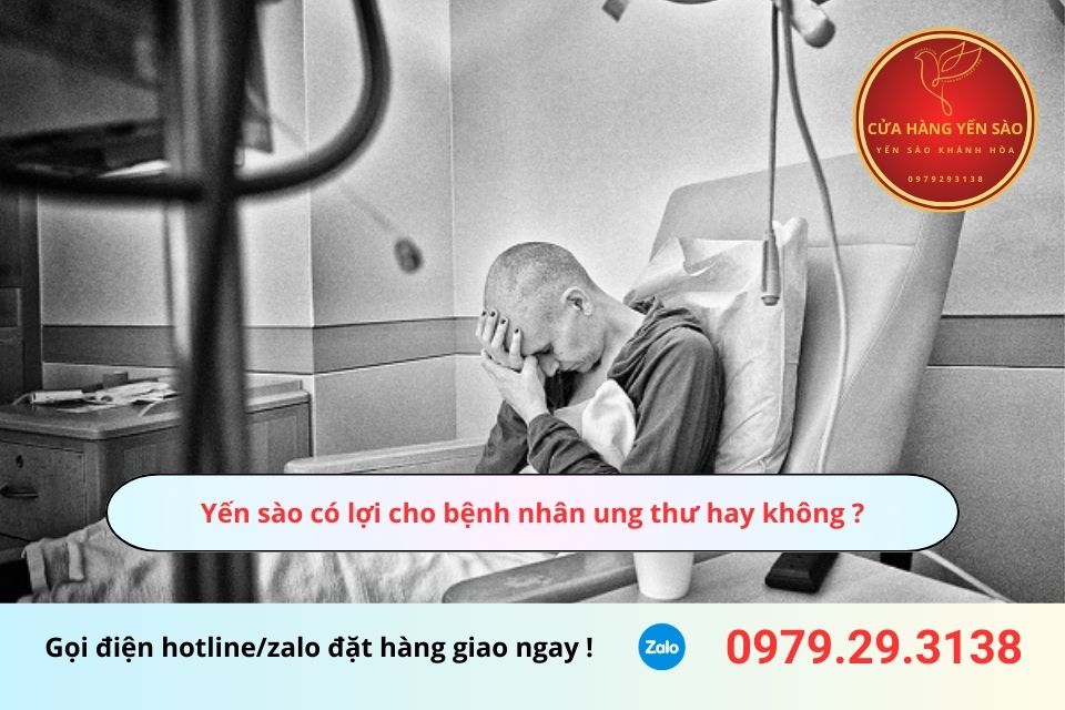 Yến sào có lợi cho bệnh nhân ung thư hay không