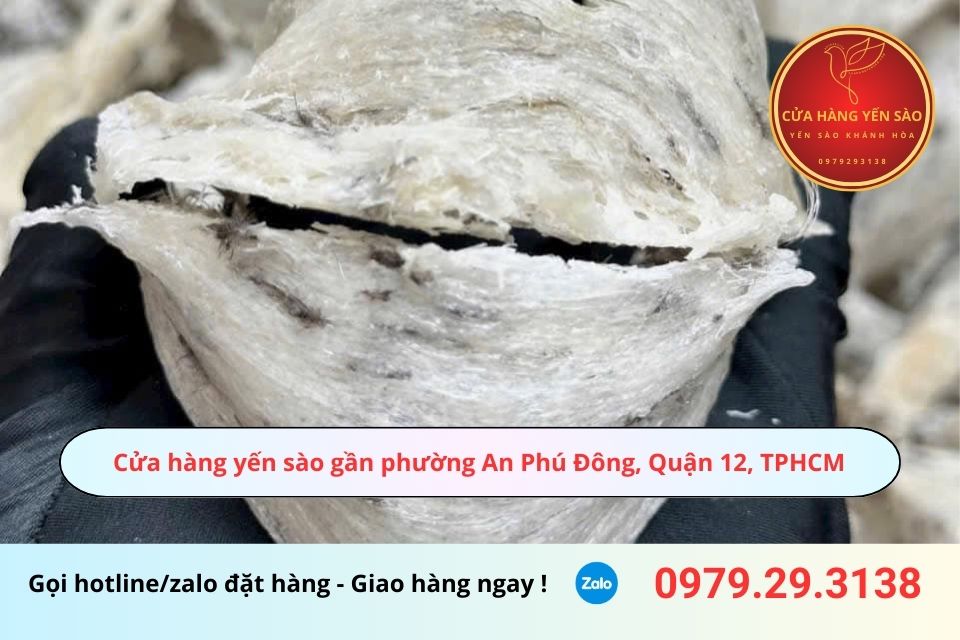 Cửa hàng yến sào gần phường An Phú Đông, Quận 12, TPHCM