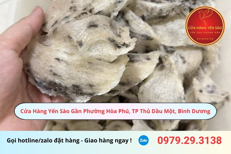 Cửa Hàng Yến Sào Gần Phường Hòa Phú, TP Thủ Dầu Một, Bình Dương