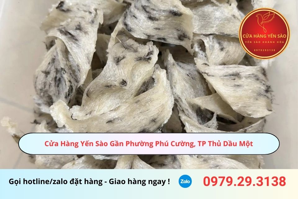 Cửa Hàng Yến Sào Gần Phường Phú Cường, TP Thủ Dầu Một, Bình Dương