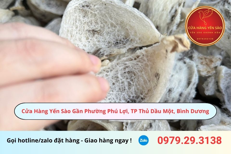 Cửa Hàng Yến Sào Gần Phường Phú Lợi, TP Thủ Dầu Một, Bình Dương