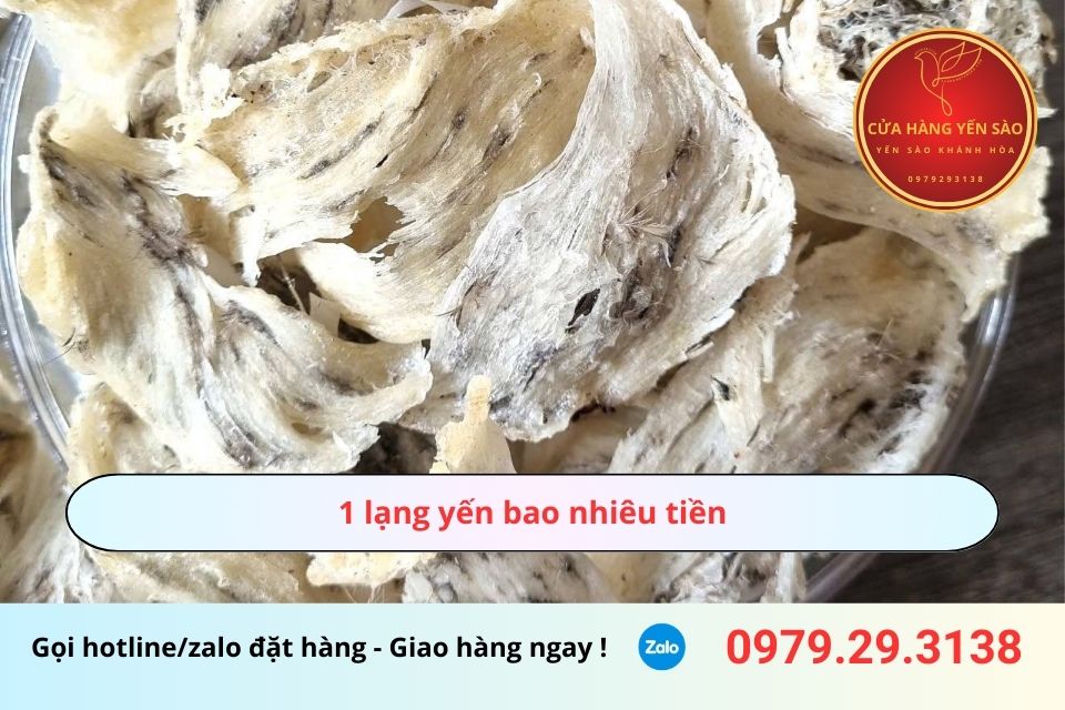 1 lạng yến bao nhiêu tiền