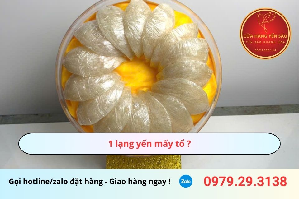 1 lạng yến mấy tổ? Tìm hiểu về số tổ và giá trị dinh dưỡng