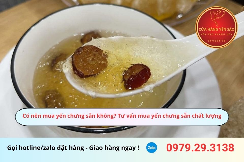 Có nên mua yến chưng sẵn không? Tư vấn mua yến chưng sẵn chất lượng