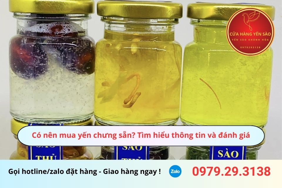 Có nên mua yến chưng sẵn? Tìm hiểu thông tin và đánh giá