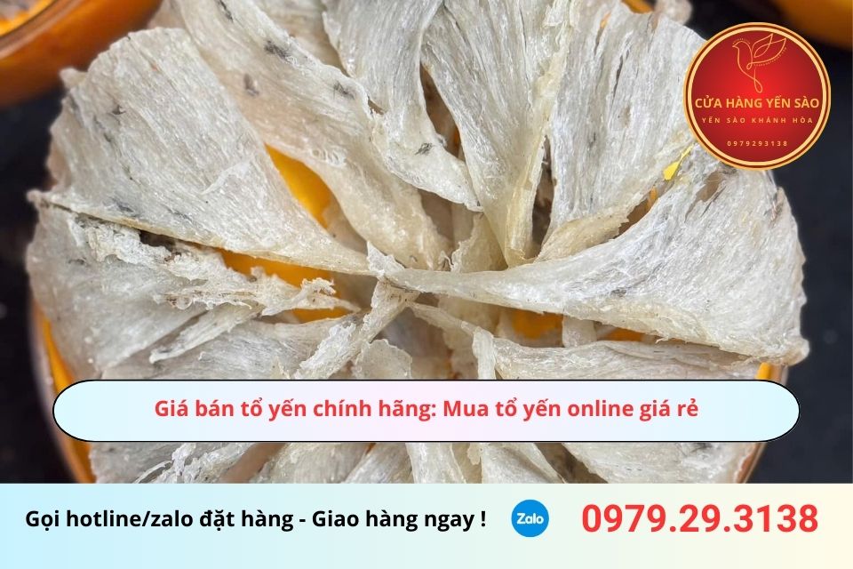 Giá bán tổ yến chính hãng: Mua tổ yến online giá rẻ