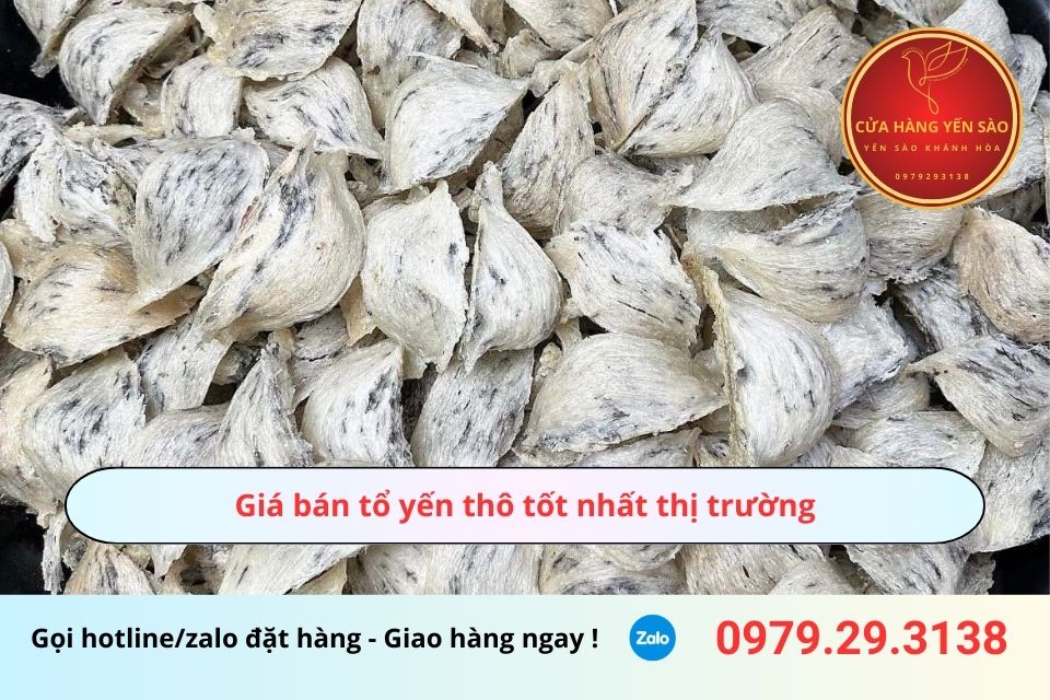 Giá bán tổ yến thô tốt nhất thị trường