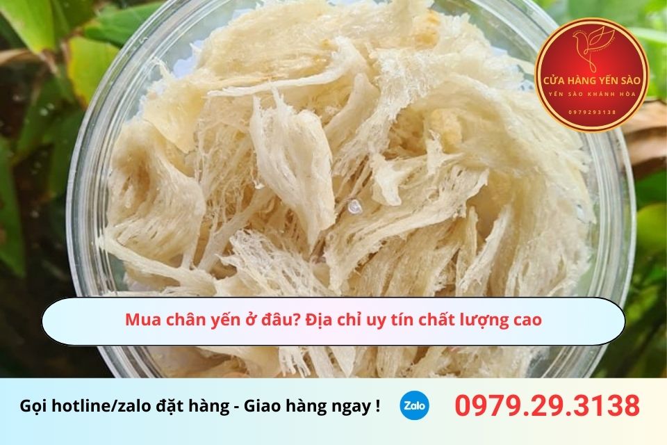 Mua chân yến ở đâu? Địa chỉ uy tín chất lượng cao