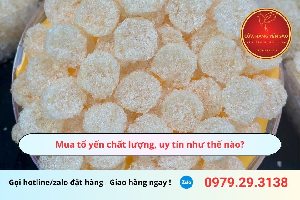 Mua tổ yến chất lượng, uy tín như thế nào?