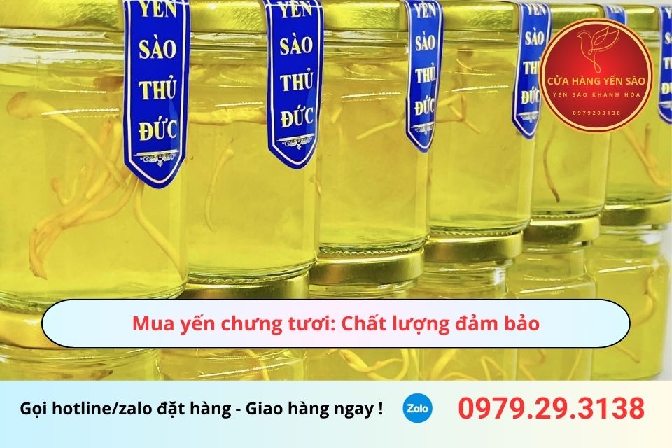 Mua yến chưng tươi: Chất lượng đảm bảo, giá cả cạnh tranh