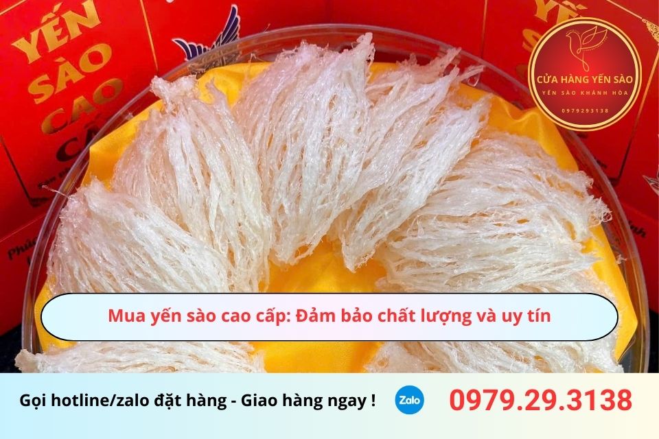 Mua yến sào cao cấp: Đảm bảo chất lượng và uy tín