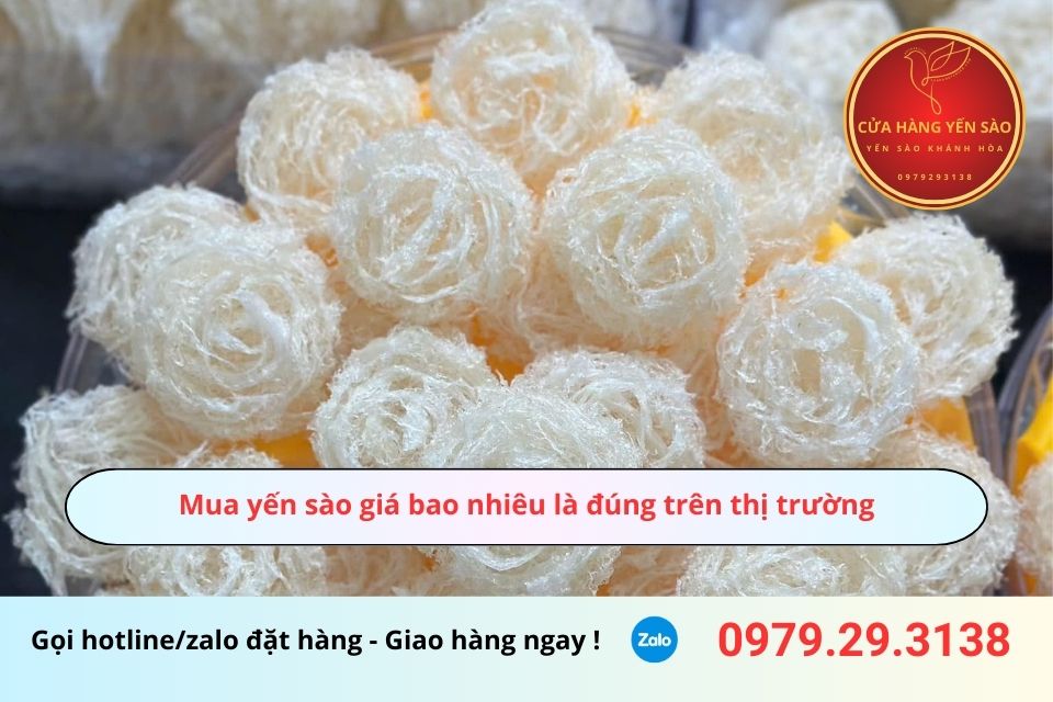 Mua yến sào giá bao nhiêu là đúng trên thị trường