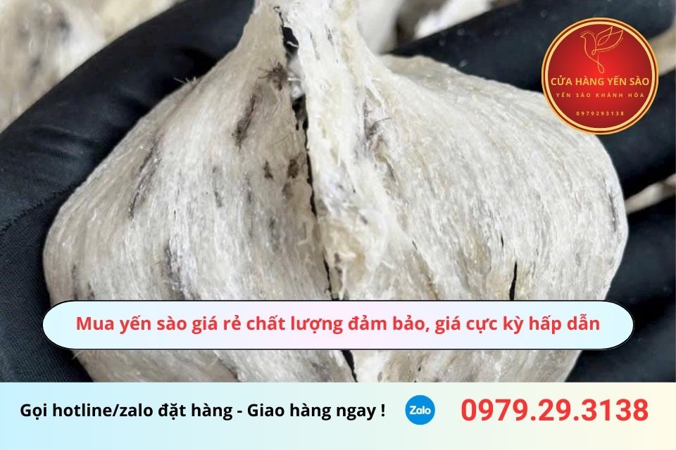 Mua yến sào giá rẻ chất lượng đảm bảo, giá cực kỳ hấp dẫn