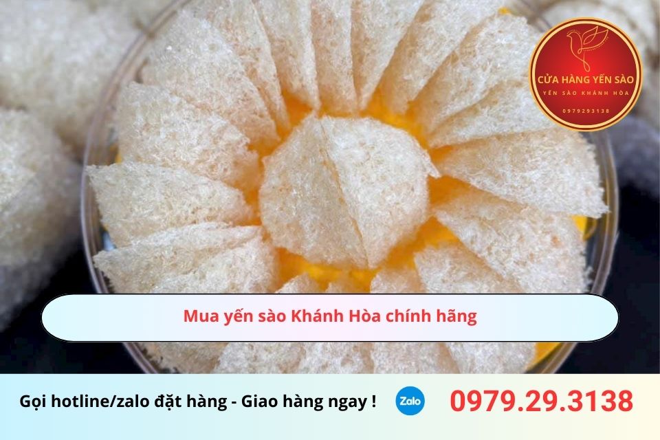 Mua yến sào Khánh Hòa chính hãng