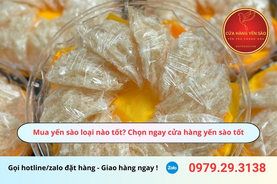 Mua yến sào loại nào tốt? Chọn ngay cửa hàng yến sào tốt