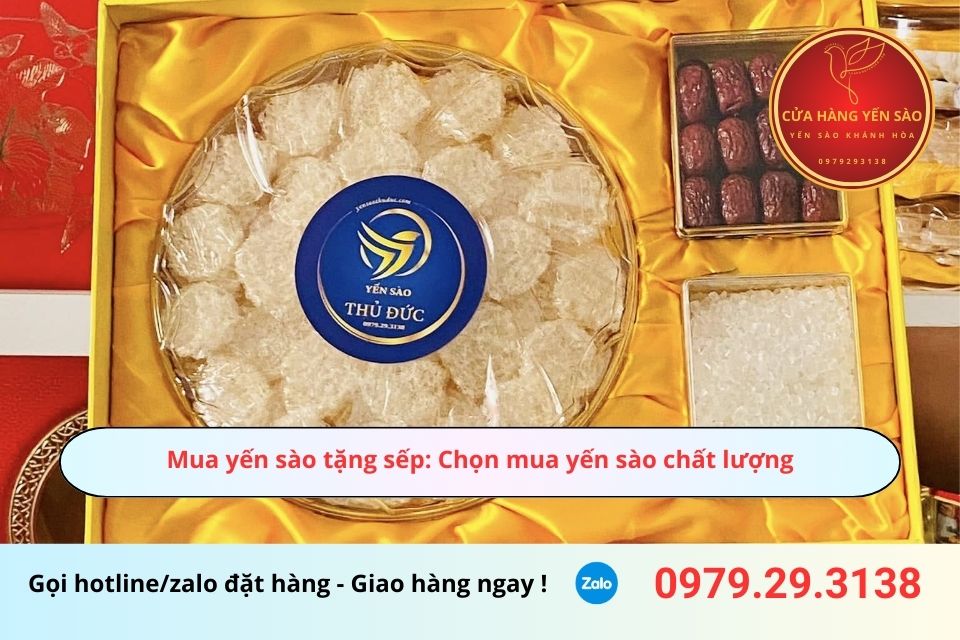 Mua yến sào tặng sếp: Chọn mua yến sào chất lượng
