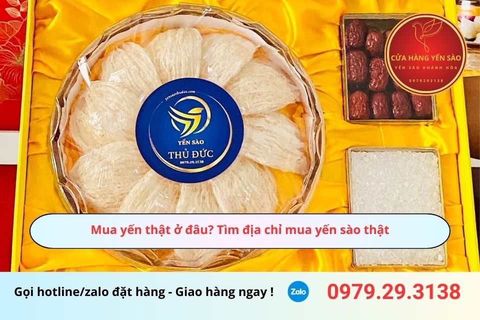 Mua yến thật ở đâu? Tìm địa chỉ mua yến sào thật