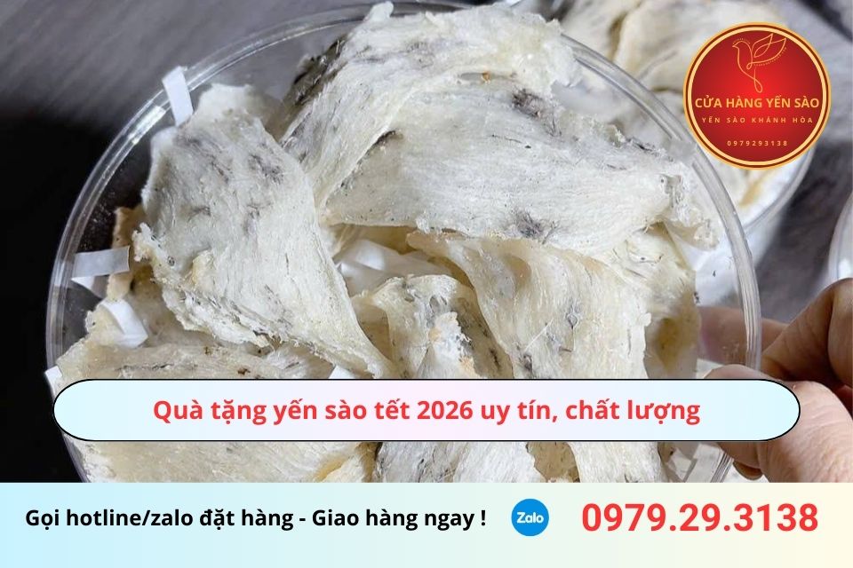Quà tặng yến sào tết 2026 uy tín, chất lượng