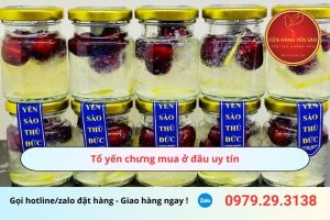 Tổ yến chưng mua ở đâu uy tín